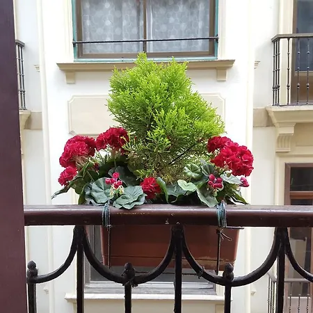圣赫罗尼莫膳食公寓酒店 圣塞瓦斯蒂安