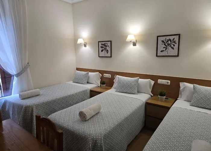 San Jerónimo San Sebastián